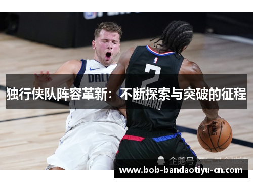 独行侠队阵容革新：不断探索与突破的征程